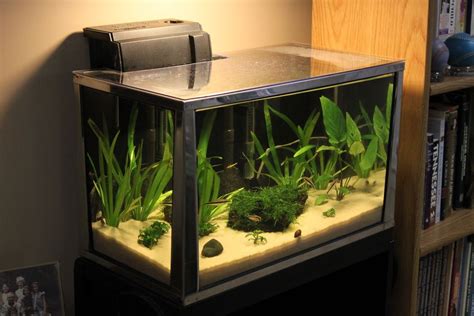 best 20 gallon fish tank|20 gallon long fish tanks.